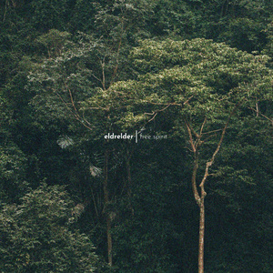 99久久久久久久久久久国产免费
