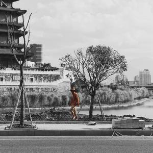 99久久久久久久久久久国产免费
