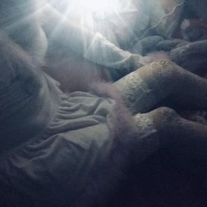 99久久久久久久久久久国产免费
