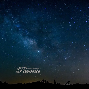 99久久久久久久久久久国产免费
