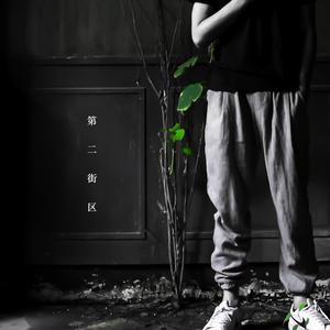 99久久久久久久久久久国产免费
